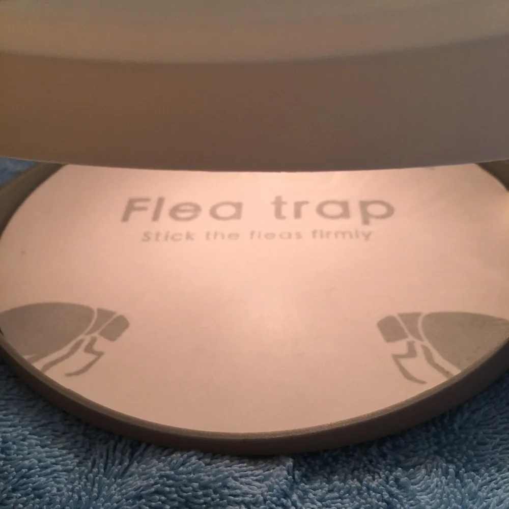 Flea Trap Sticky Pad Set with Power Cord